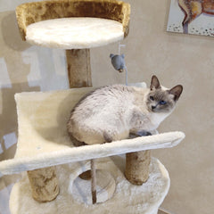 Luxury Multi-Level Cat Tree & Condo Tower Integrated Large Cat Activity Center with Sisal Scratching Posts Multi-Platform Cat Tower with Cozy Nest Wholesale Export Quality Pet Furniture