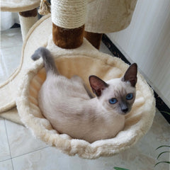 Luxury Multi-Level Cat Tree & Condo Tower Integrated Large Cat Activity Center with Sisal Scratching Posts Multi-Platform Cat Tower with Cozy Nest Wholesale Export Quality Pet Furniture