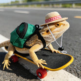3-Piece Exotic Pet Adventure Set - Miniature Skateboard, Backpack, and Hat Accessory Kit for Bearded Dragons, Hamsters, and Small Birds