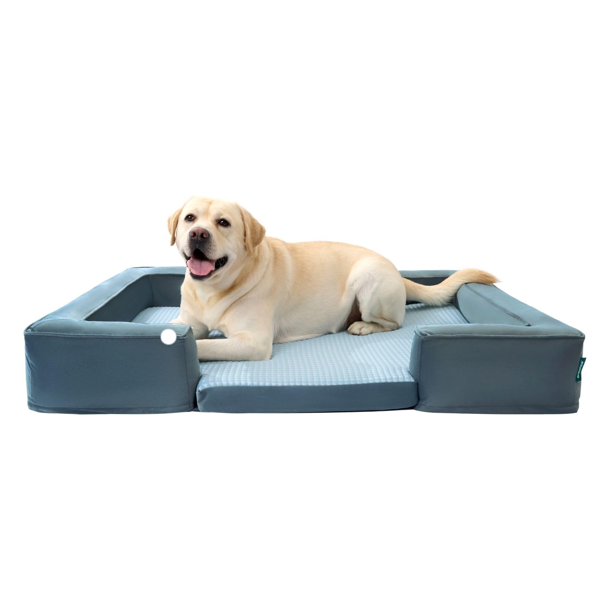 Orthopedic Memory Foam Dog Bed Stain-Resistant Washable Pet Mat with Removable Cover for Joint Support & Deep Sleep